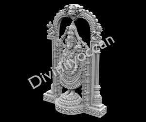 Balaji idol